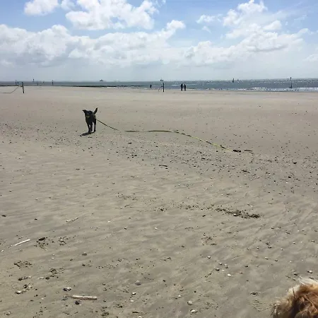 Alte Teestube Norderney Apartamento *